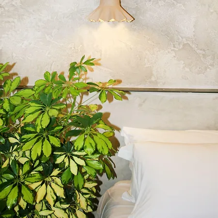 乔斯旅馆 招待所 4*